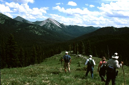Slide 3