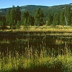 Hiking and Backpacking in Southern Yellowstone