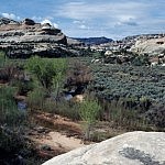 Canyonlands Canyonlands