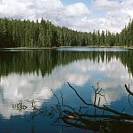 Central Yellowstone Backpacking