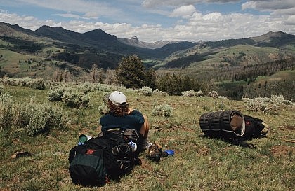 Yellowstone's Big and Wild Wolf Country