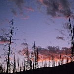 Yellowstone Sky at Sunset