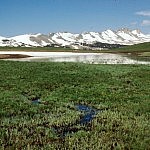 Gros Ventre Gros Ventre