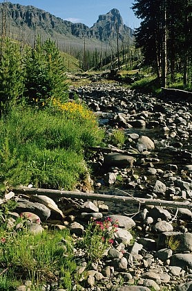 Northern Yellowstone 2
