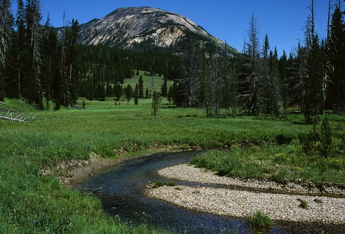 SouthernYellowstone4