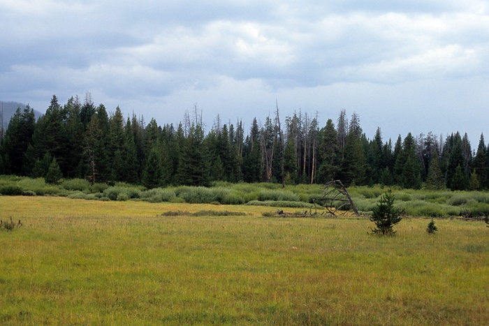 SouthernYellowstone6