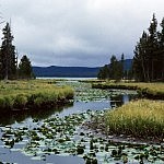 Southwest_Yellowstone Southwest Yellowstone