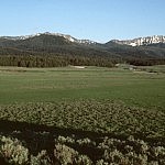 Yellowstone_Wolf_Country Yellowstone Wolf Country