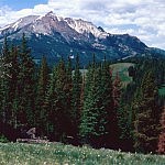 gallatin_2B