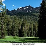 Yellowstone Remote Yellowstone Remote