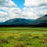 photo_yellow_remoteB