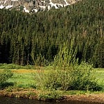 Northeast Yellowstone Park