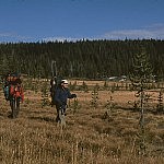 yellowstone_waterfall