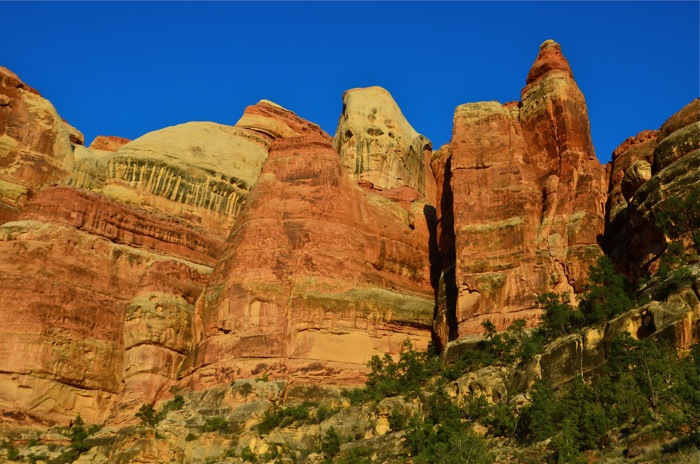 Canyonlands Cliff