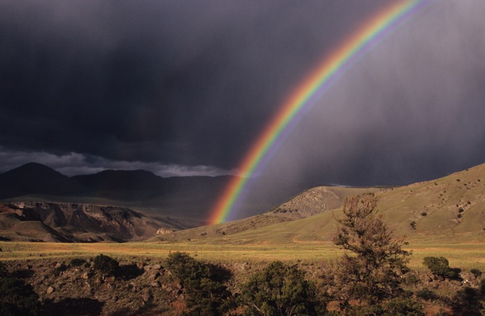 Yellowstone Rainbow