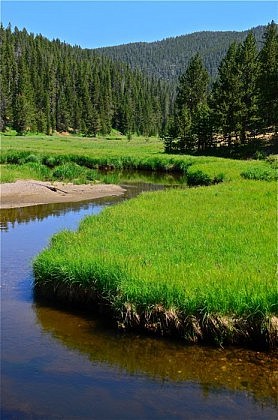 Broad Creek, in Yellowstone National Park