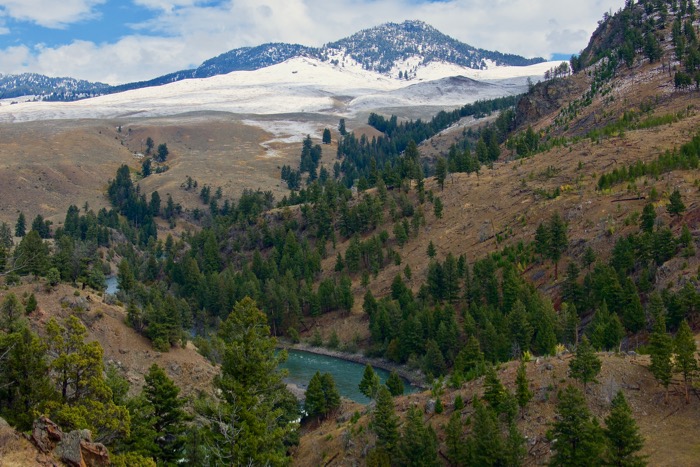 Guided Yellowstone Hikes