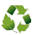 Green Business Icon