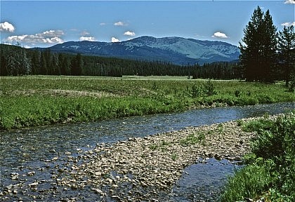 Basin Creek Meadows