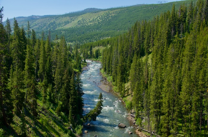 Yellowstone Guided Hikes and Lamar River Backcountry