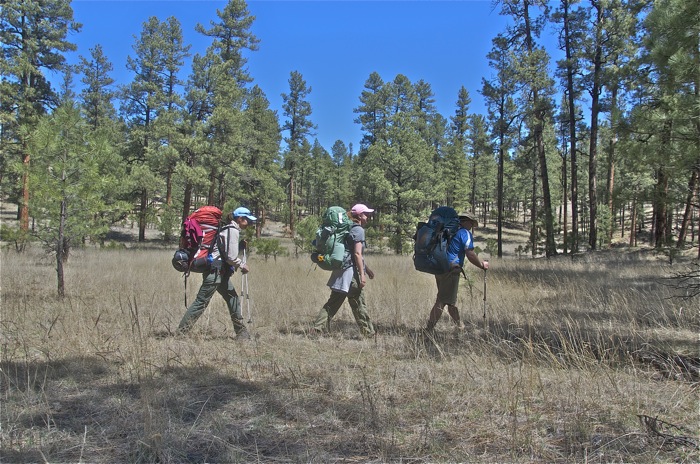 New Mexico Backpacking