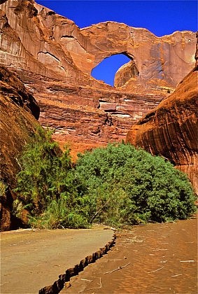 Photo of Stevens Arch from one of our Utah backpacking trips